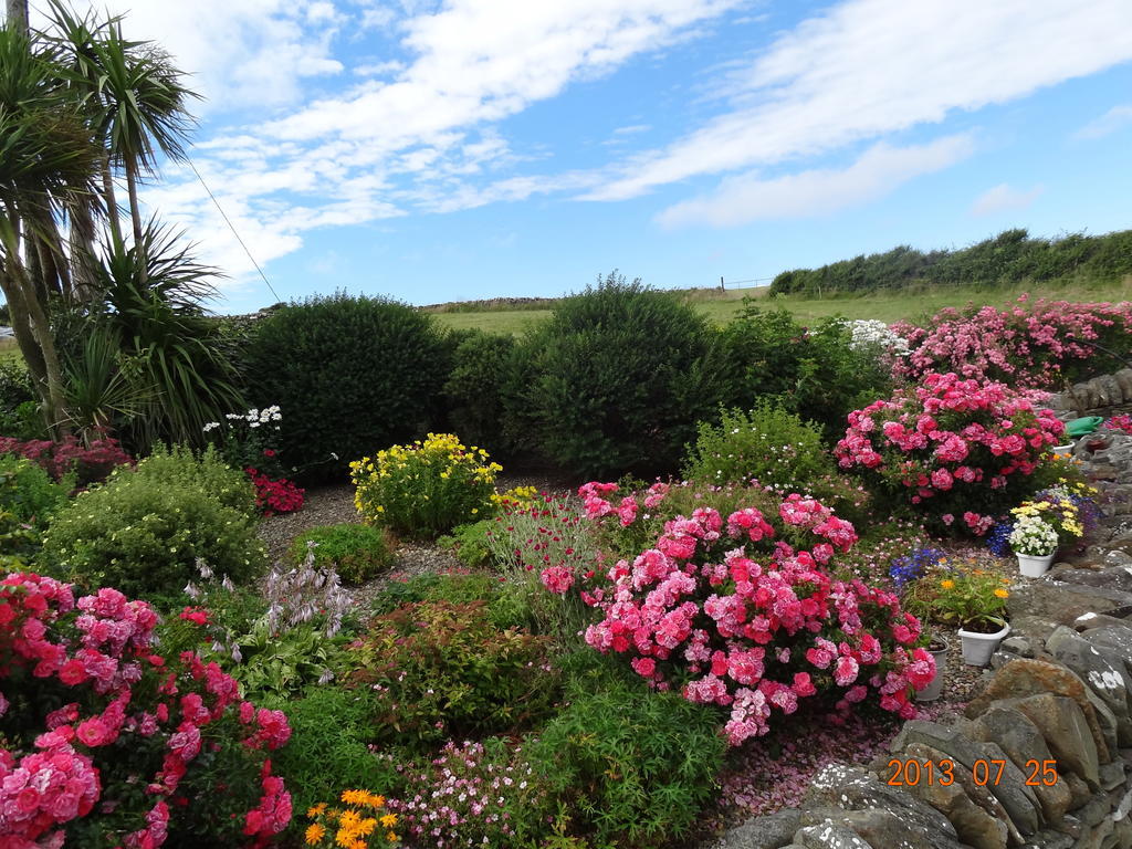 Atlantic View B&B Liscannor Eksteriør billede